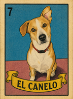 01 loteria